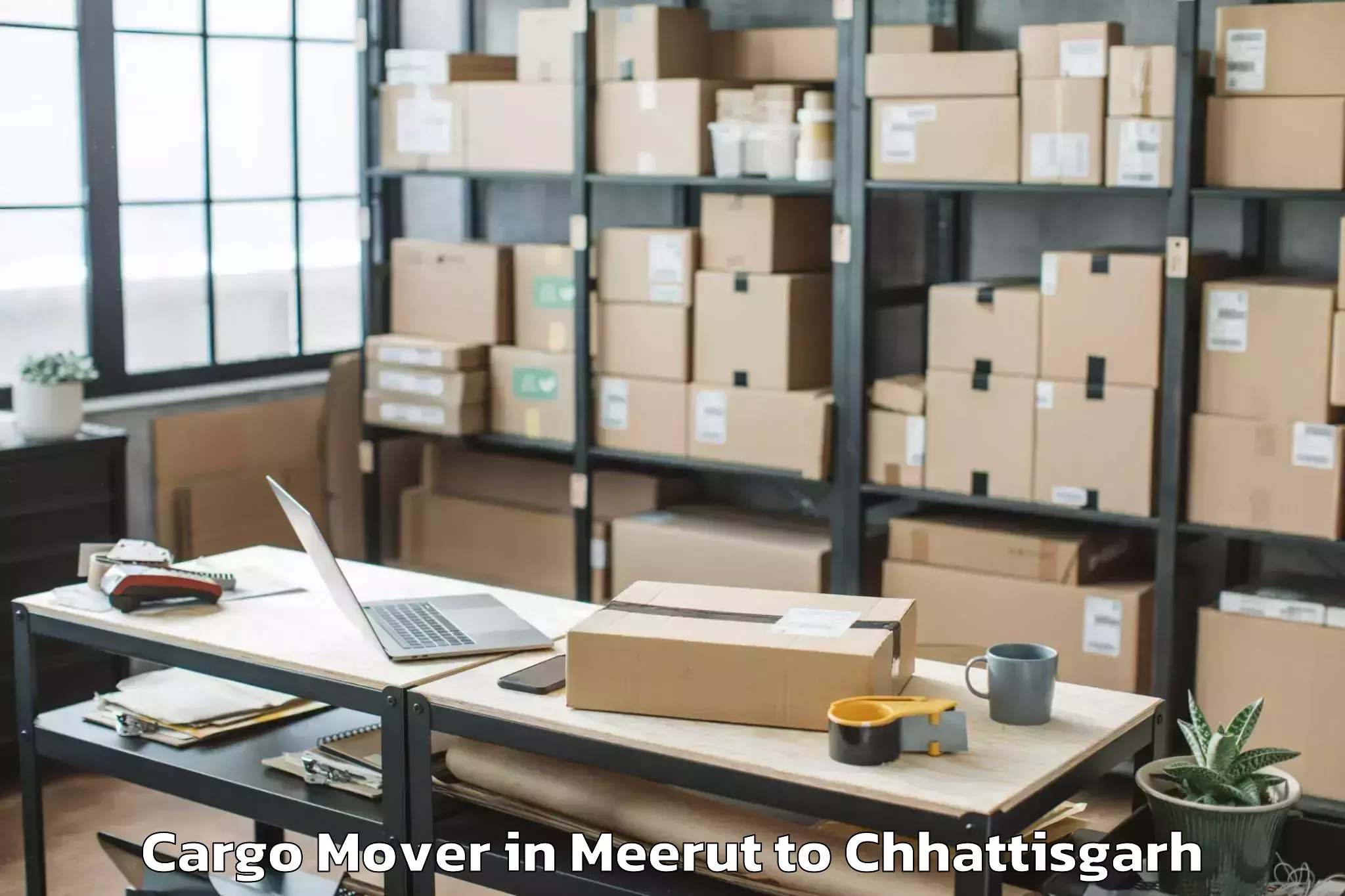 Expert Meerut to Ambikapur Cargo Mover